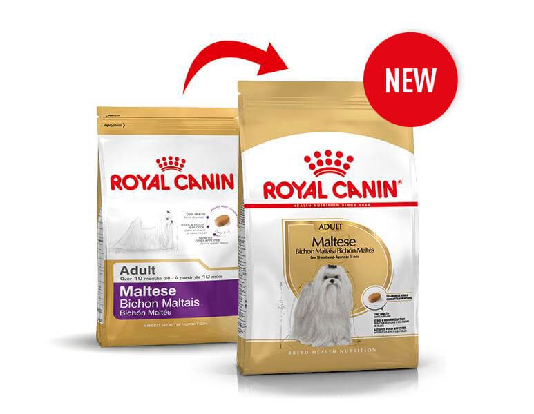 Royal Canin Adult Malteser 24 Hundefutter