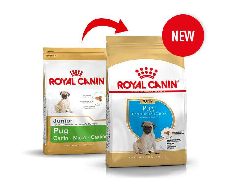 Royal Canin Puppy Mops Hundefutter