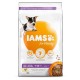 Iams for Vitality Puppy kleine & mittelgroße Rassen Hundefutter