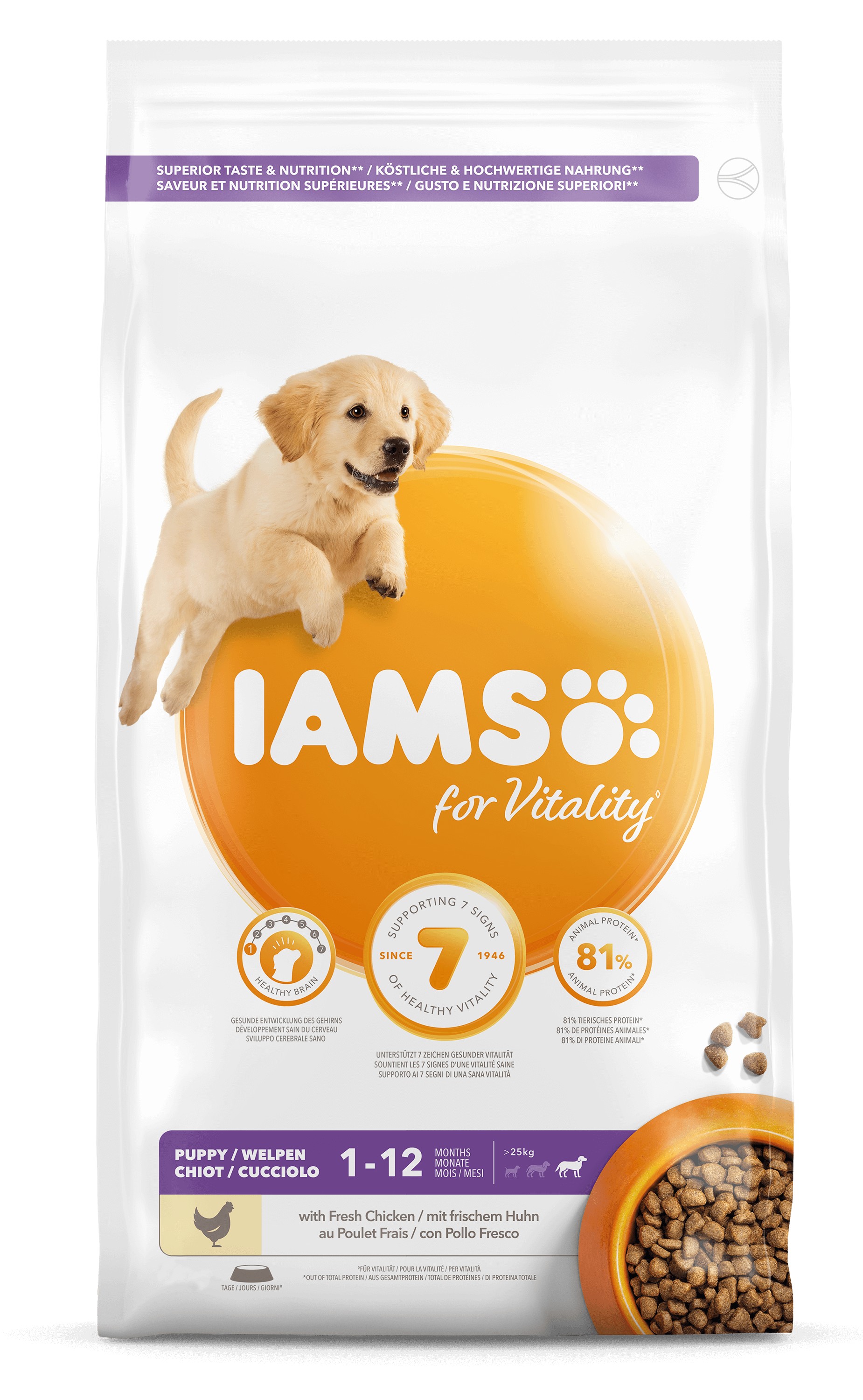 iams large puppy