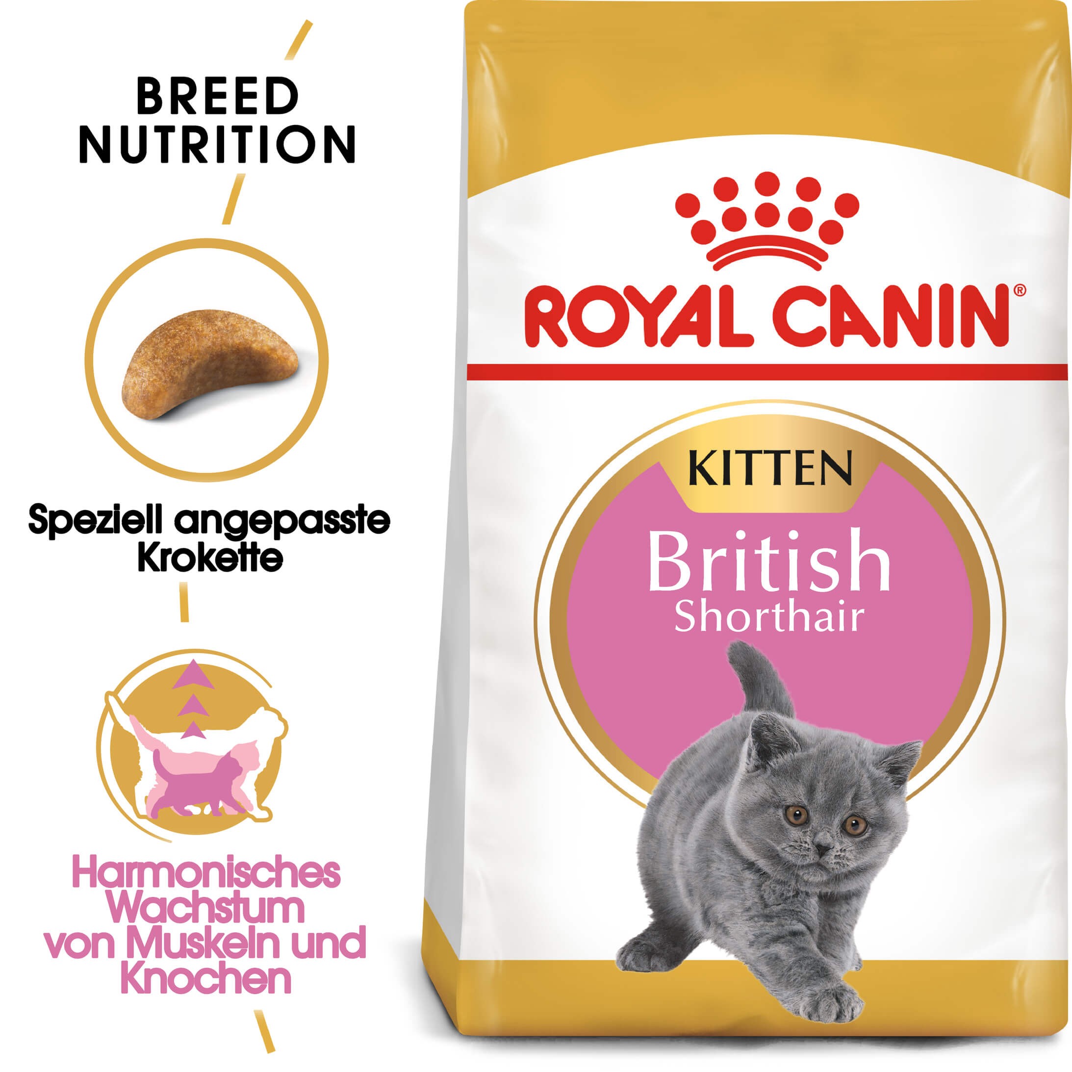 Royal Canin Britisch Kurzhaar Kitten Katzenfutter