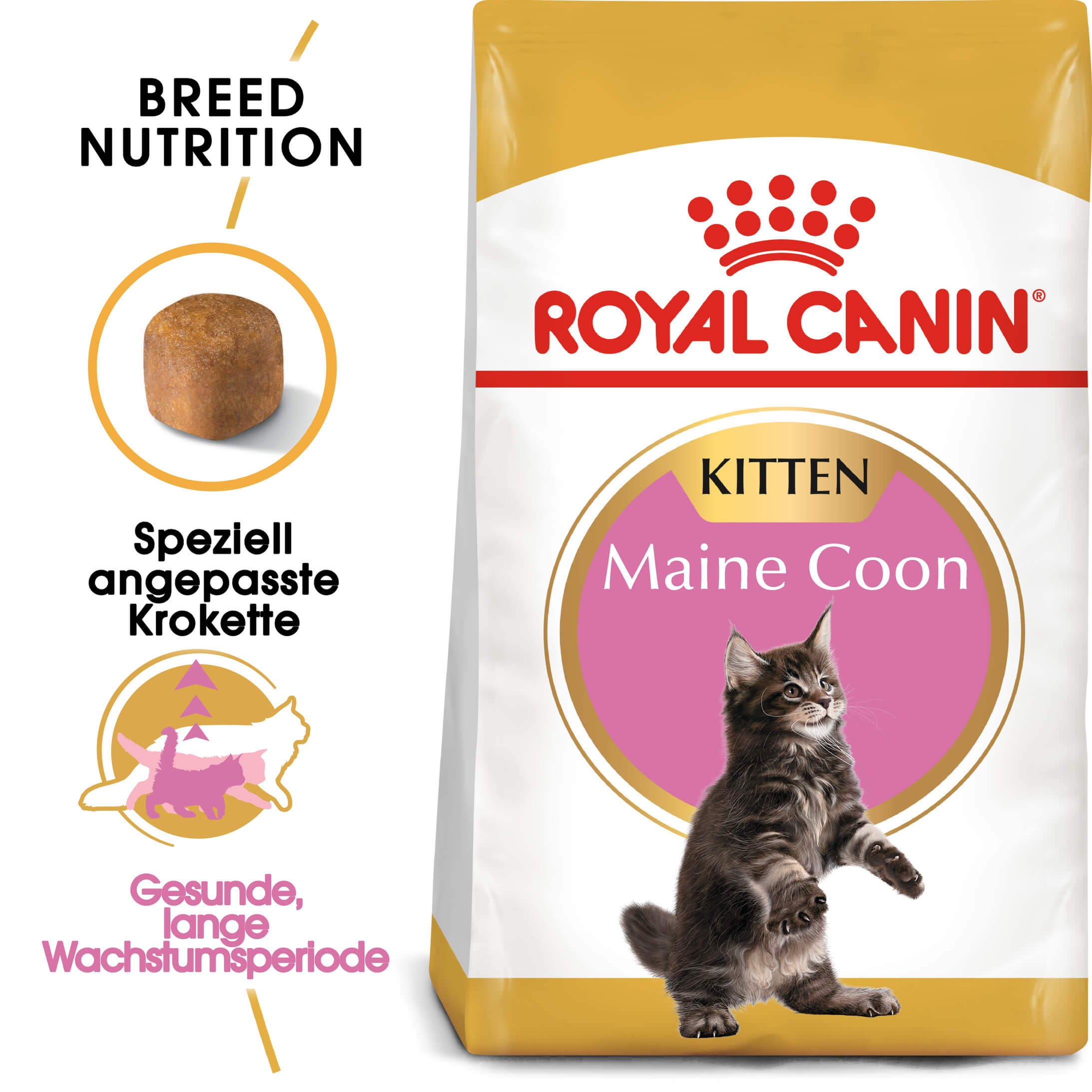 Royal Canin Kitten Maine Coon Katzenfutter 