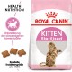 Royal Canin Kitten Sterilised Katzenfutter 