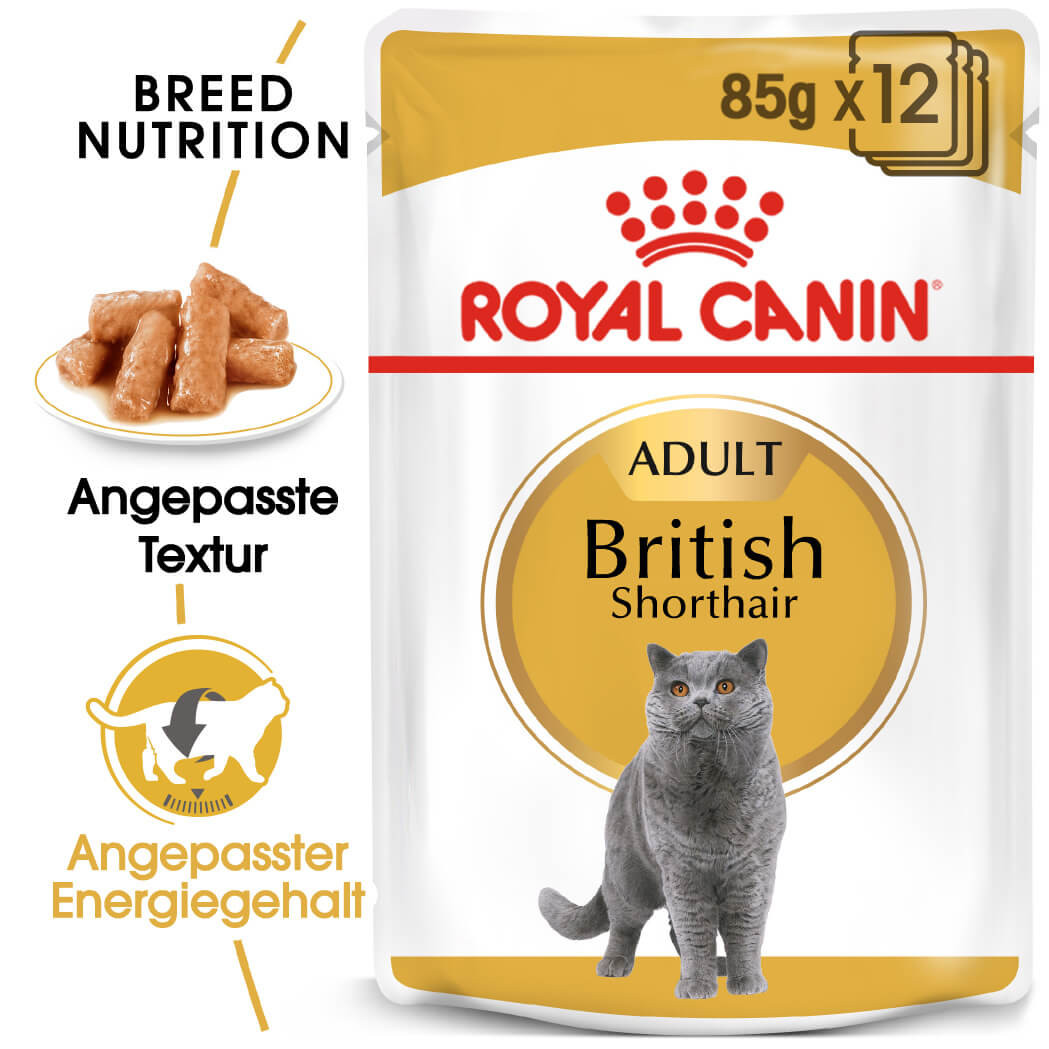 Royal Canin British Shorthair Adult Pouch