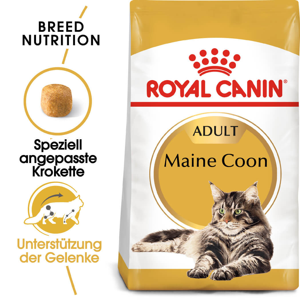 Royal Canin Adult Maine Coon Katzenfutter