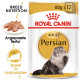 Royal Canin Persian Adult Nassfutter
