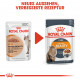 Royal Canin Intense Beauty Nassfutter Katze (85 g)