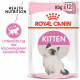 Royal Canin Kitten Katzenfutter x12
