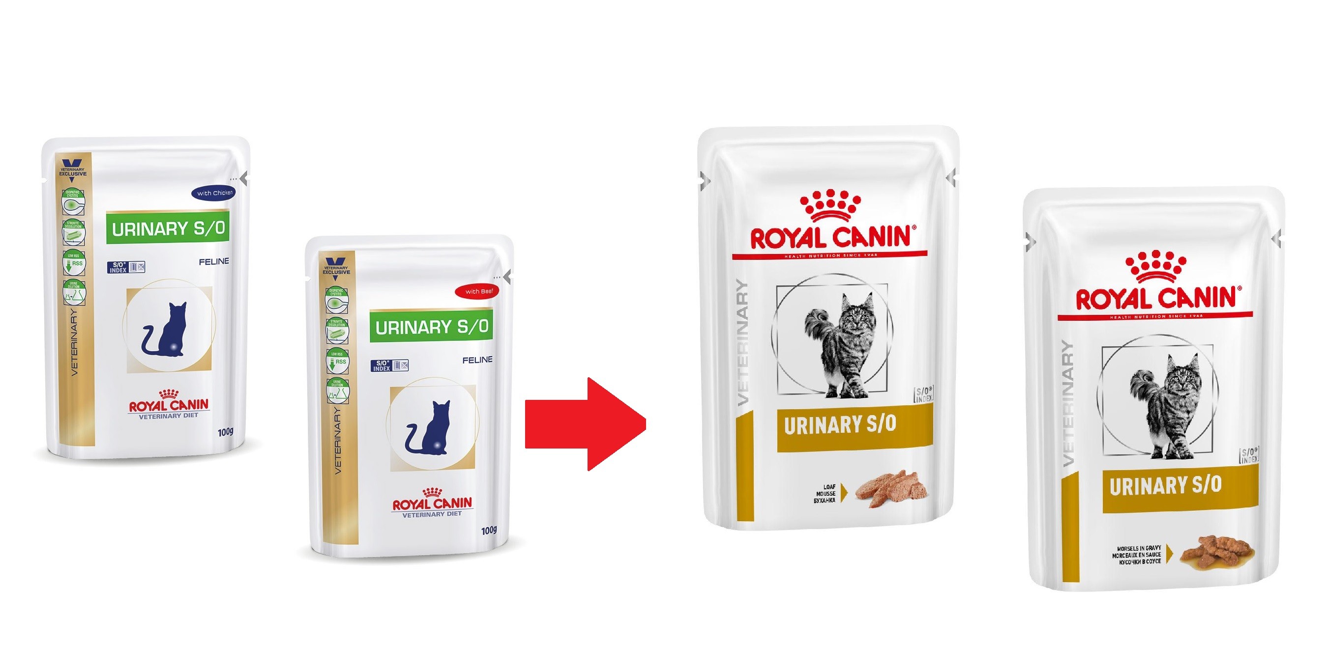 royal canin morsels in gravy