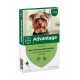 Advantage Nr. 40 Flohmittel (bis 4 kg) Hund