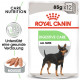 Royal Canin Digestive Care Nassfutter