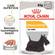 Royal Canin Dermacomfort Nassfutter