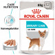 Royal Canin Urinary Care Hunde-Nassfutter