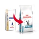Royal Canin Veterinary Anallergenic Katzenfutter