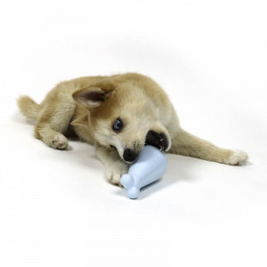 Petit Snackspeelgoed Chico voor de hond