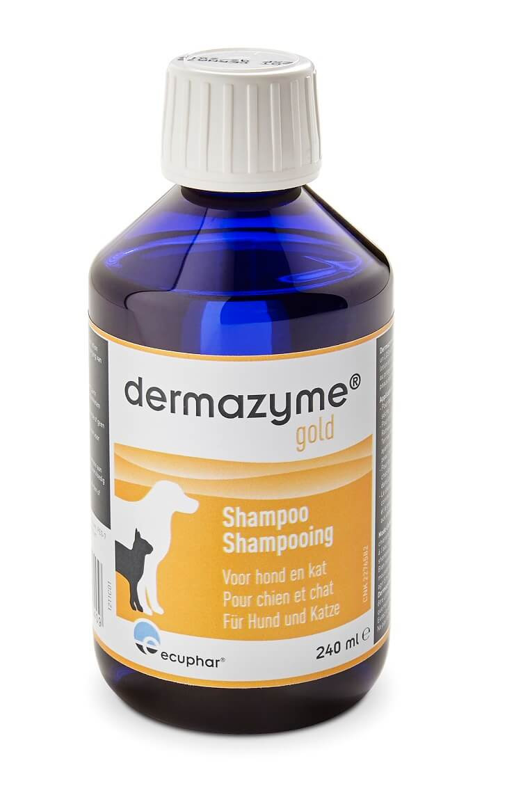 Dermazyme Gold Shampoo