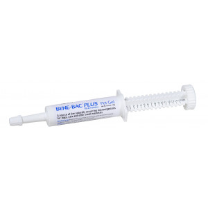 Bene Bac Plus Katze