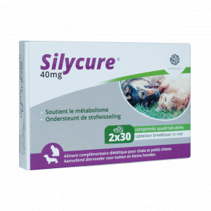 Silycure 40 mg Tabletten für Katzen und kleine Hunde 60 Tabletten