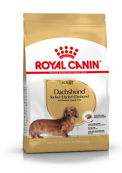 Royal Canin Adult Dachshund Hundefutter