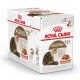 Royal Canin Ageing +12 Katzen-Nassfutter x12