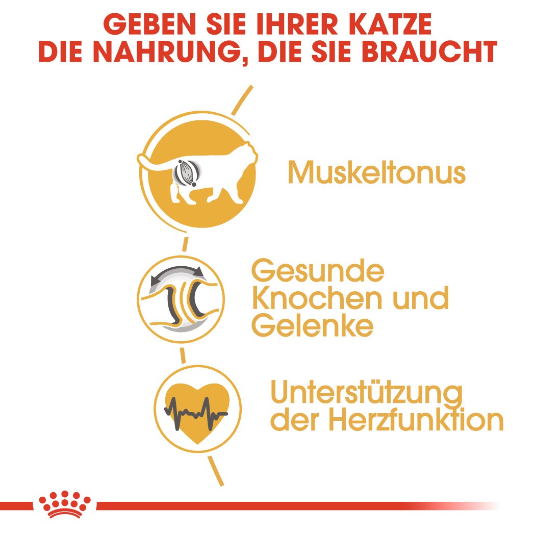 Royal Canin Adult Britisch Kurzhaar Katzenfutter 