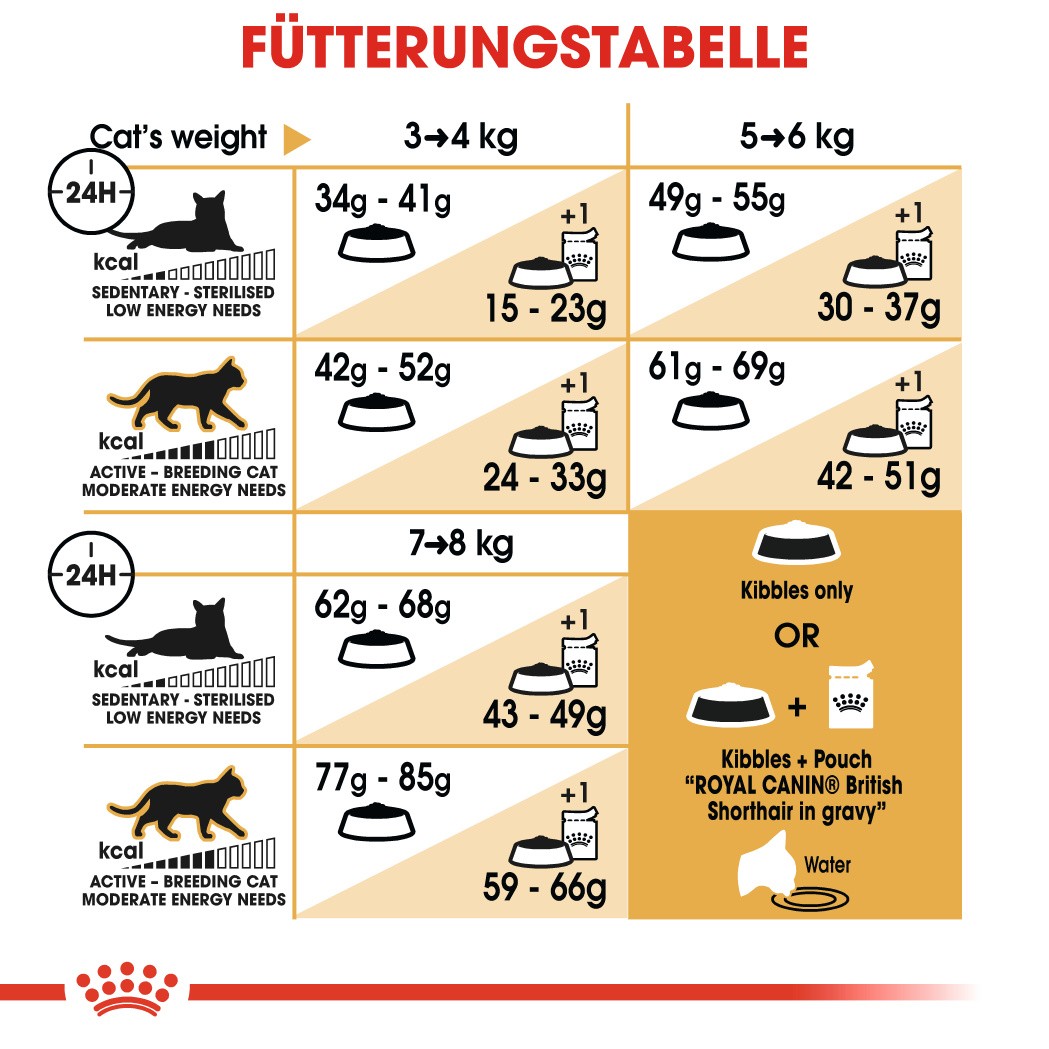 Royal Canin Kitten Perserkatze Katzenfutter 