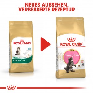 Royal Canin Kitten Maine Coon Katzenfutter 