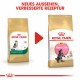 Royal Canin Kitten Maine Coon Katzenfutter 