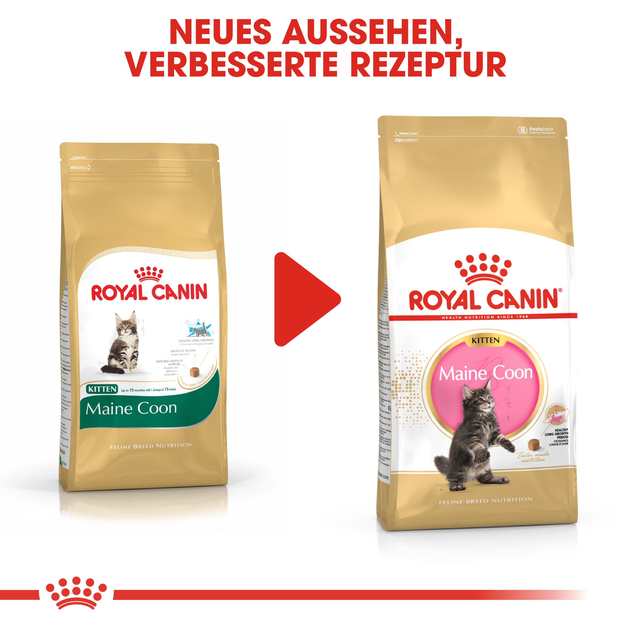 Royal Canin Kitten Maine Coon Katzenfutter 