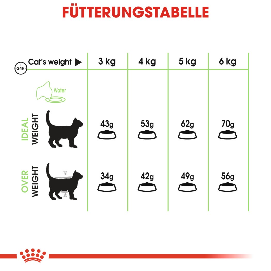 Royal Canin Digestive Care Katzenfutter 