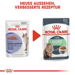 Royal Canin Digest Sensitive Katzen-Nassfutter x12