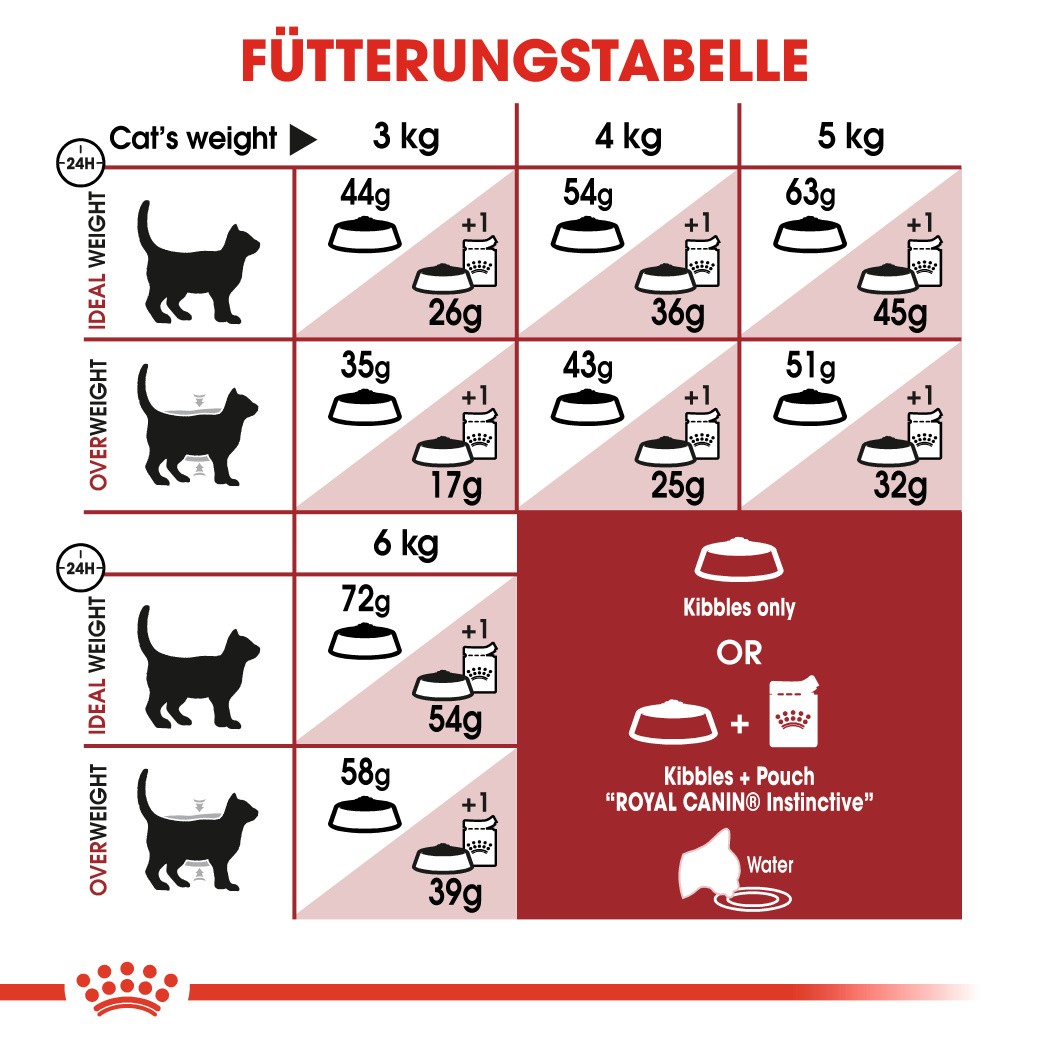 Royal Canin Regular Fit 32 Katzenfutter