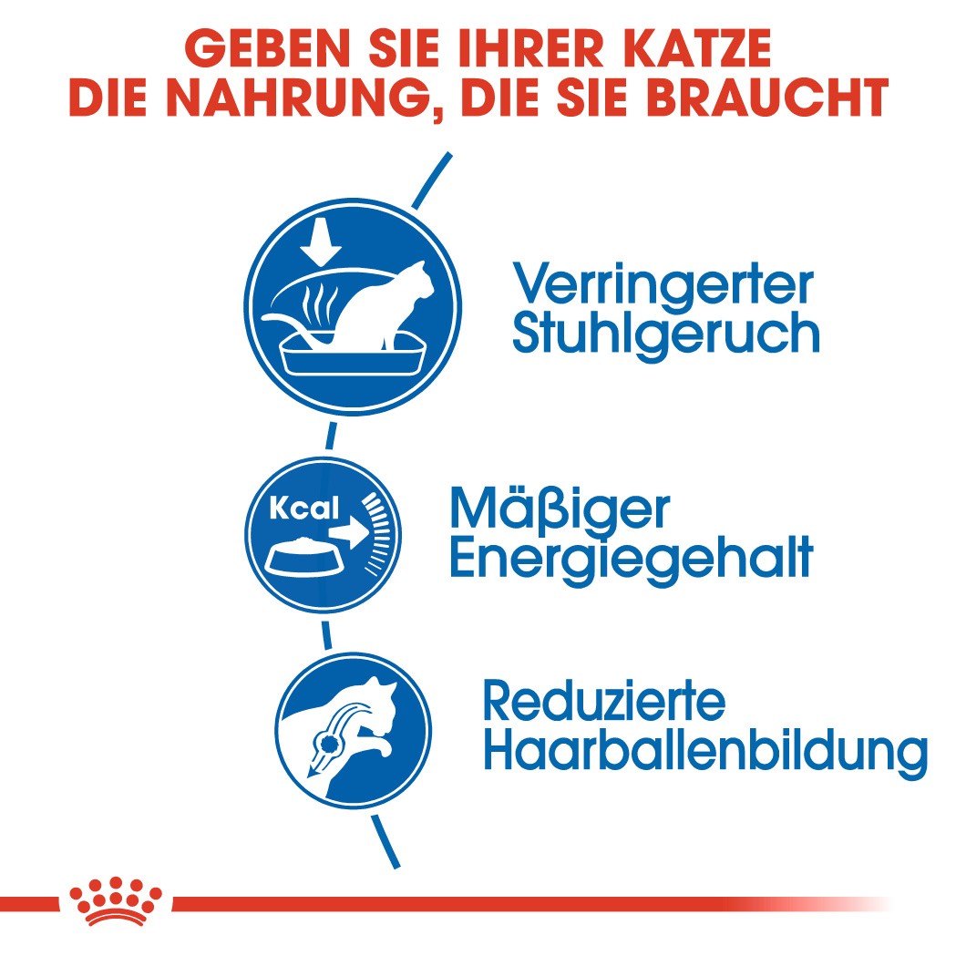 Royal Canin Indoor 27 Katzenfutter