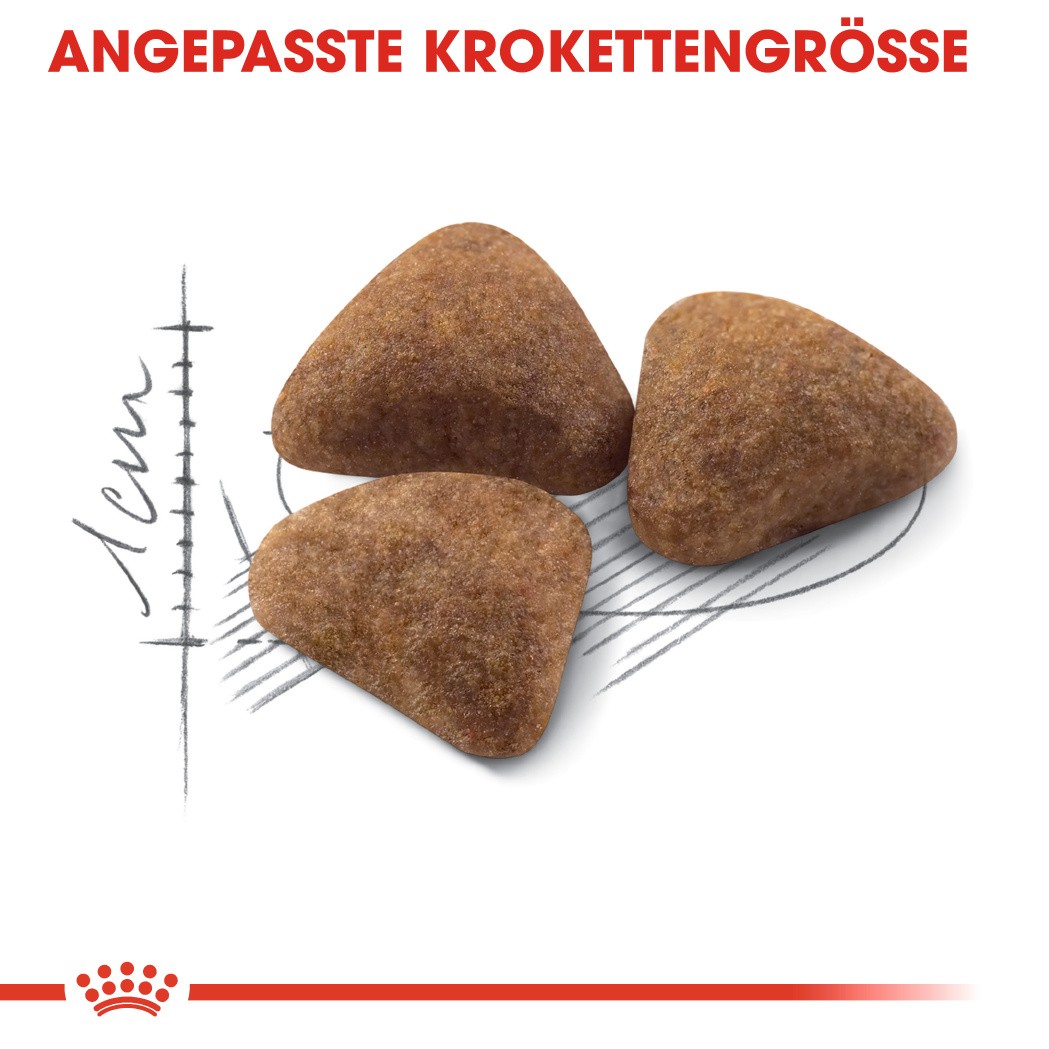 Royal Canin Indoor 27 Katzenfutter
