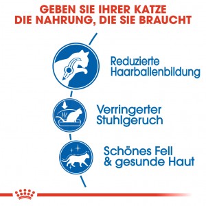 Royal Canin Indoor Long Hair Katzenfutter