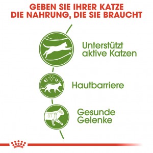 Royal Canin Outdoor Katzenfutter