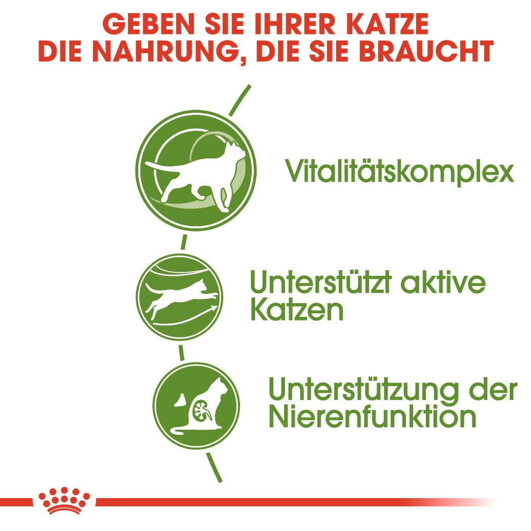 Royal Canin Outdoor 7+ Katzenfutter