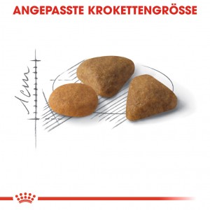 Royal Canin Savour Exigent Katzenfutter