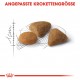 Royal Canin Savour Exigent Katzenfutter