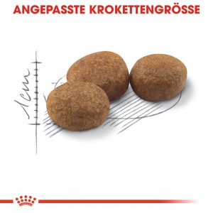 Royal Canin Sterilised Katzenfutter