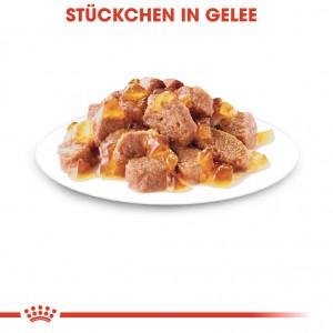Royal Canin Instinctive Nassfutter in Soße für Katzen (85 g)