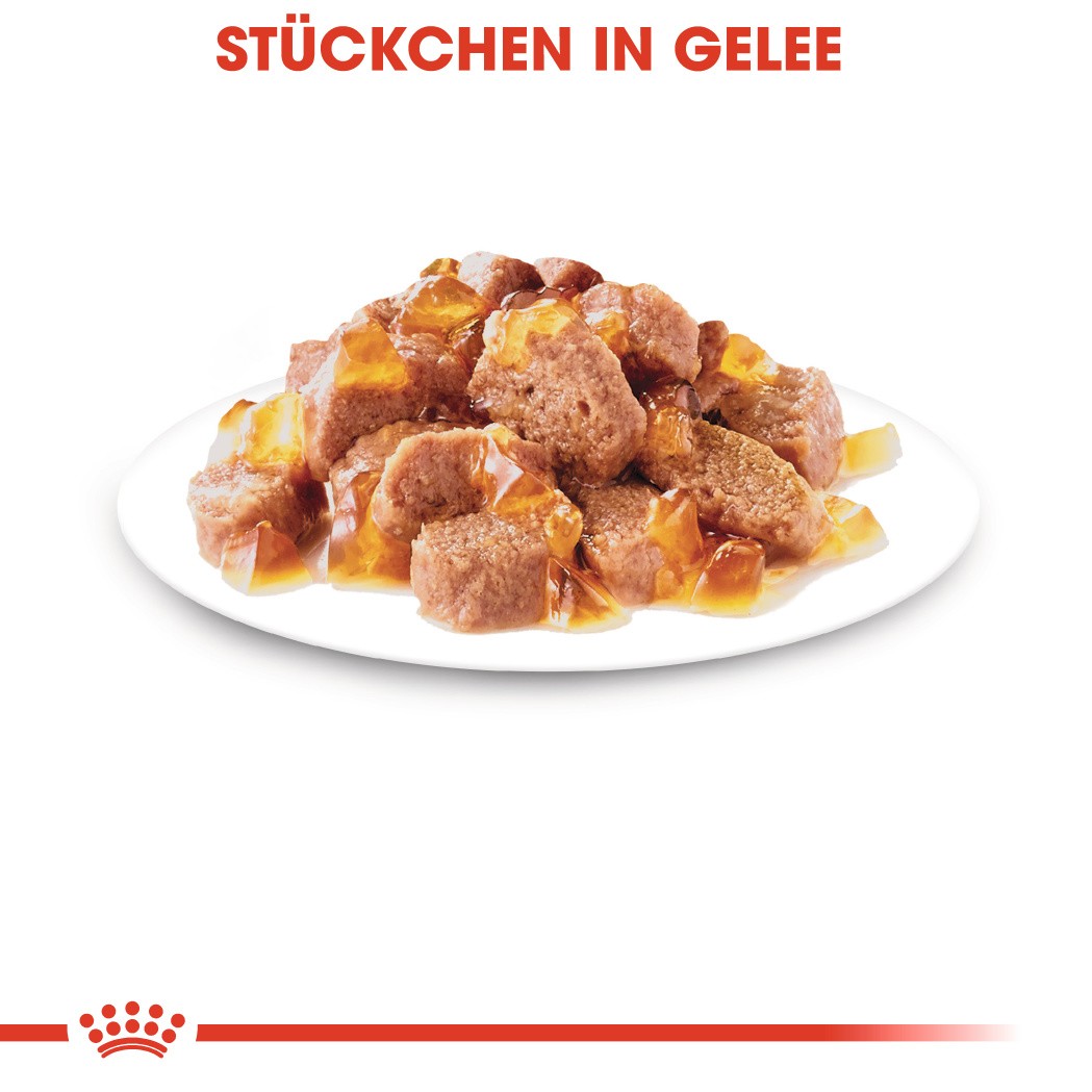 Royal Canin Instinctive Nassfutter in Soße für Katzen (85 g)