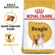 Royal Canin Adult Beagle Hundefutter