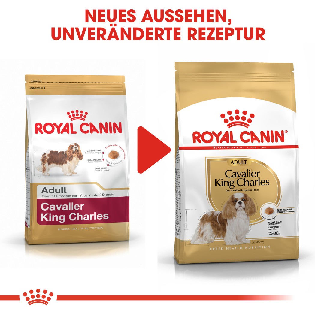 Royal Canin Adult Cavalier King Charles Hundefutter