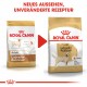 Royal Canin Adult Labrador Retriever Hundefutter
