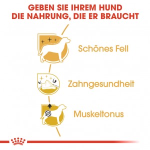 Royal Canin Adult Pudel Hundefutter