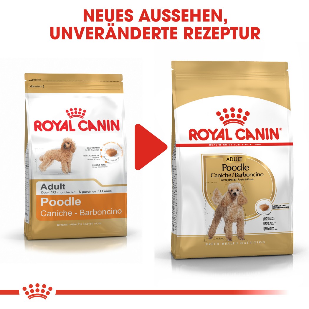 Royal Canin Adult Pudel Hundefutter