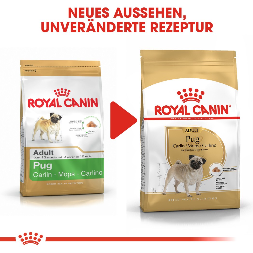 Royal Canin Adult Mops Hundefutter