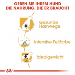Royal Canin Adult Mini Schnauzer Hundefutter