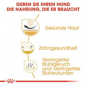 Royal Canin Adult Shih Tzu Hundefutter 